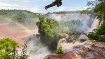 Cataratas del Iguazú